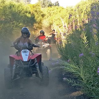 Etna quad - quad driving in the dust on the Mount Etna