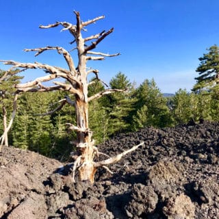 Etna vulcano - Etna tour - Etnaquad - Piano Provenzana