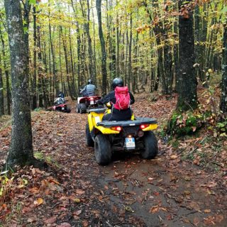 Bosco Etna Escursione in quad