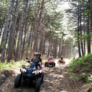 etna forest quad tour