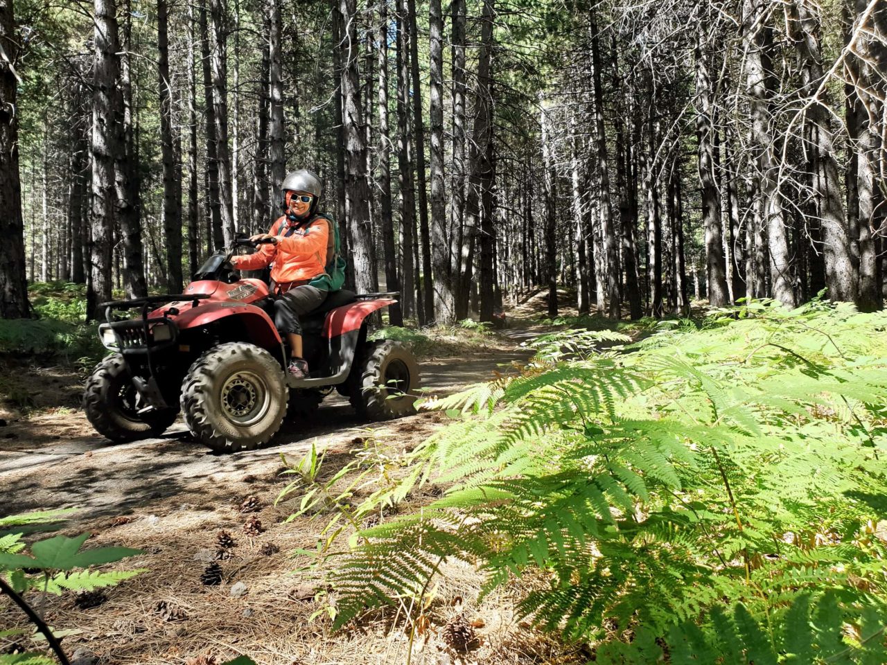Guidare turistica Taormina - Etna Quad tour