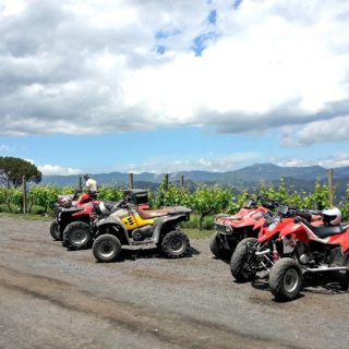 Quad tour cantina wine tour