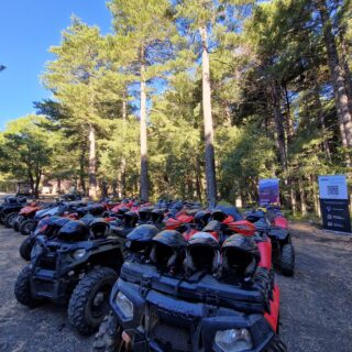 Incentive Teambuilding Etna Quad Tour