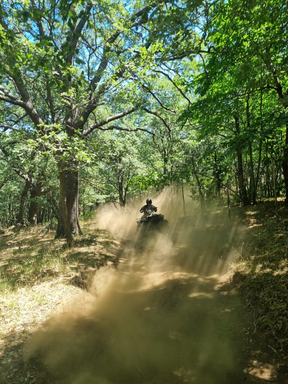 Polvere offroad quad tour Etna
