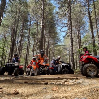 Quad tour bosco Etna